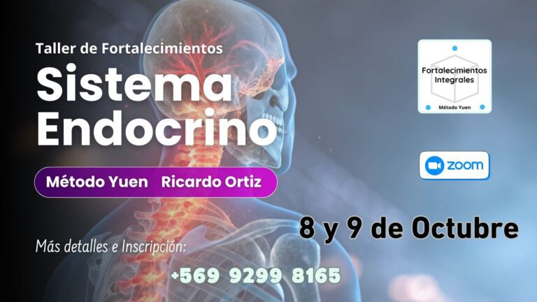 Taller de Fortalecimientos - Chile